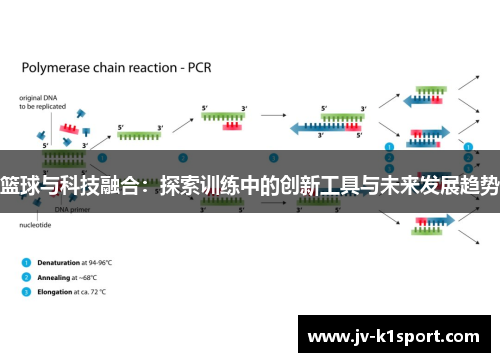 篮球与科技融合：探索训练中的创新工具与未来发展趋势