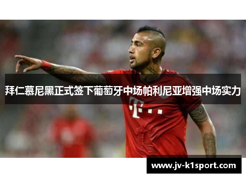 拜仁慕尼黑正式签下葡萄牙中场帕利尼亚增强中场实力