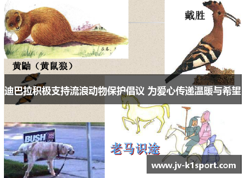 迪巴拉积极支持流浪动物保护倡议 为爱心传递温暖与希望