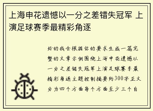 上海申花遗憾以一分之差错失冠军 上演足球赛季最精彩角逐