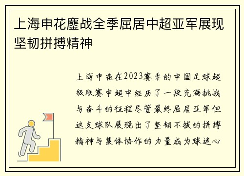 上海申花鏖战全季屈居中超亚军展现坚韧拼搏精神
